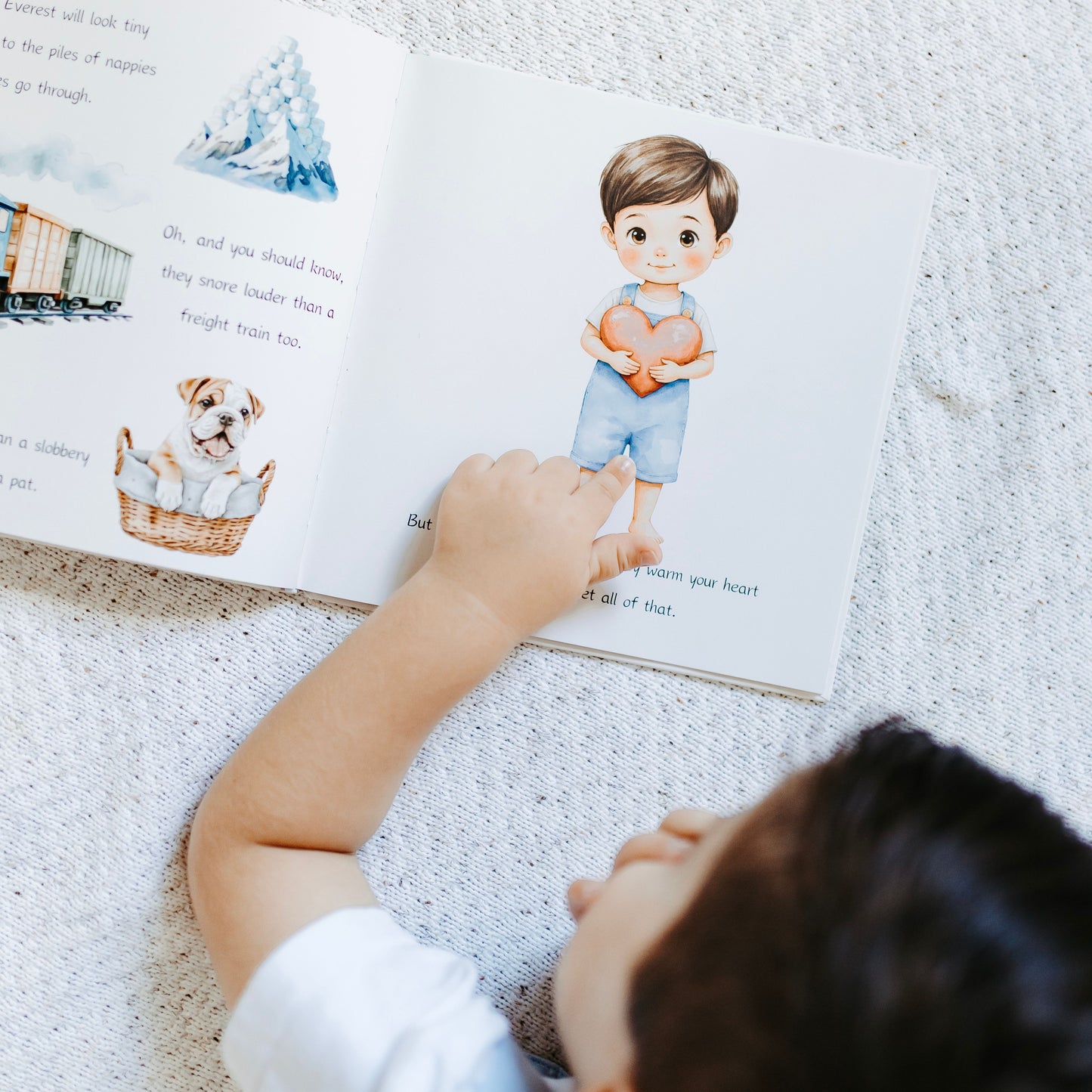 BIG BROTHER BOOK
