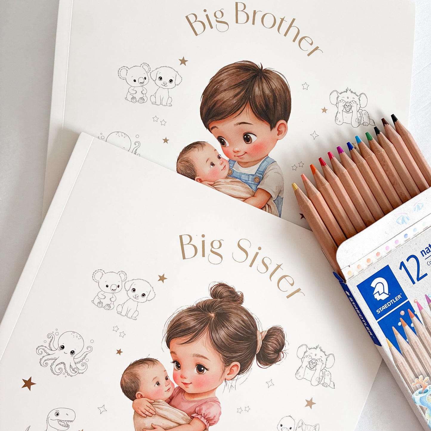BIG BROTHER COLOURING BOOK
