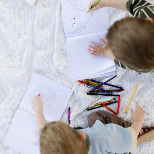 BIG BROTHER COLOURING BOOK