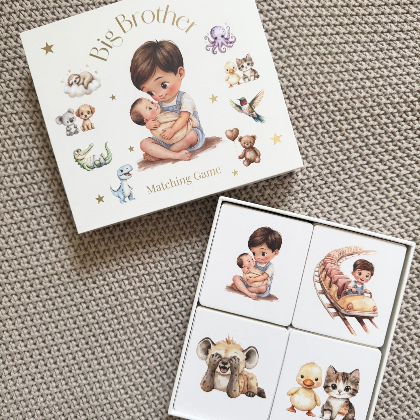 BIG BROTHER MATCHING GAME