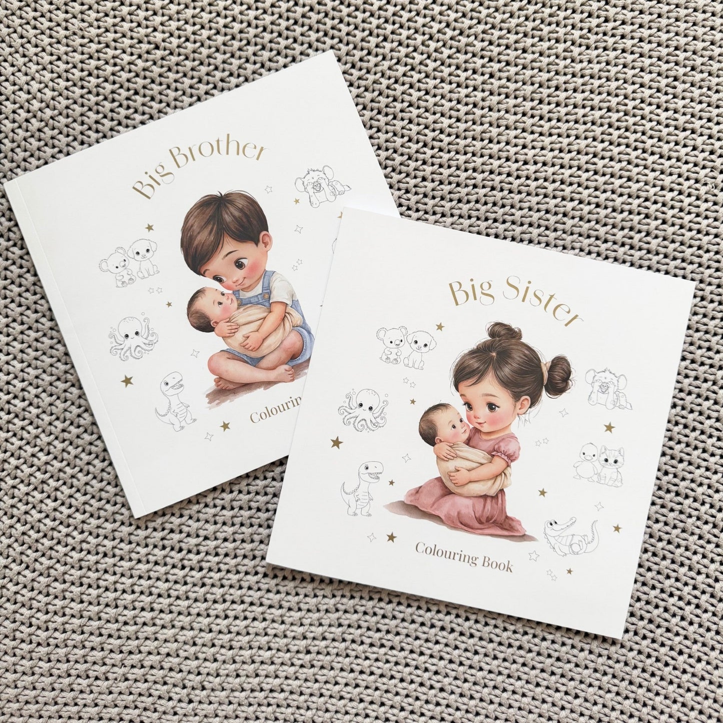 BIG BROTHER COLOURING BOOK